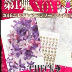レディ ダイアリーのサムネイル