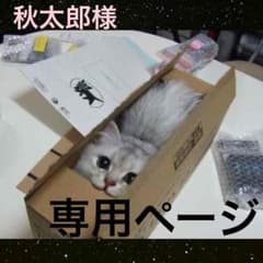 秋太郎様専用ページですのサムネイル