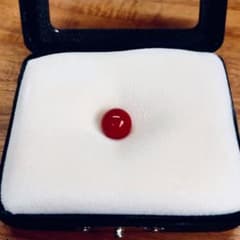 赤珊瑚 血赤珊瑚 ルースのサムネイル