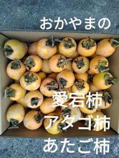 愛宕柿 あたご柿 渋柿 干し柿用 小玉 8キロ箱入り50〜70個のサムネイル
