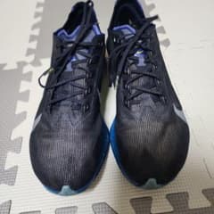 NIKE ヴェイパーフライ4 27.5cmのサムネイル