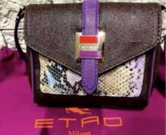 美品12万】ETRO エトロ 希少なパイソンスネーク柄 ショルダーバック 