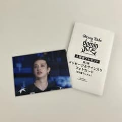 Stray Kids The dominATE experience バンチャンのサムネイル