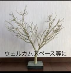 結婚式　ウェルカムスペースなどにのサムネイル
