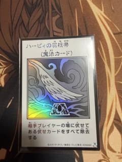 ハーピィの羽根帚 ウルトラモノクロのサムネイル