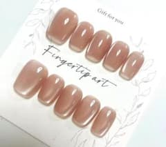 【現品・匿名配送】S116ヌーディーピンク マグネットネイルチップのサムネイル