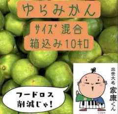 静岡県産【ゆらみかん】10キロ サイズ混合　極早生みかん　訳あり　三ヶ日みかんのサムネイル