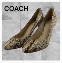 COACH パイソン柄 パンプス ハイヒール