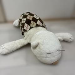 ニトリ　しろくま　シロクマ　抱き枕　ぬいぐるみ　　腹巻き　アーガイル ニトリ しろくま シロクマ 抱き枕 ぬいぐるみ 腹巻き アーガイル