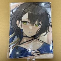 未開封•正規品］アズールレーン ボルチモア8周年記念抱き枕カバー