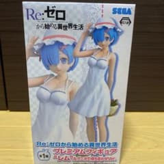 Re:ゼロから始める異世界生活　プレミアムフィギュア　“レム"のサムネイル