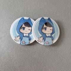 ちろぴの　ちろる　缶バッジ30個セット　レア ちろぴの 缶バッジ2個セット ちろる - メルカリ