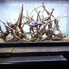 ※枝流木まとめ売り①※のサムネイル