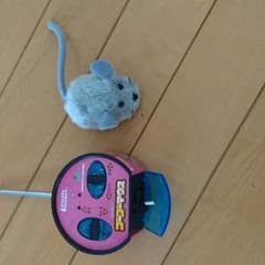 猫★おもちゃ★ゴーゴーマウスのサムネイル