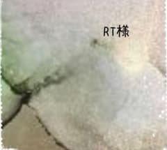 RT様 専用ですのサムネイル
