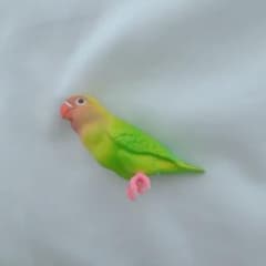 Hand-sized Parakeet Collection Figure Doll Budgerigar Gachapon