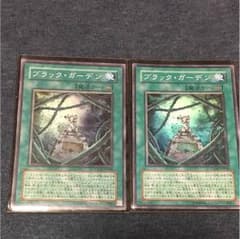 ブラック・ガーデン 2枚セットのサムネイル