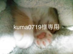 kuma0719様  専用のサムネイル