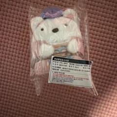 すみっコぐらし てのりぬいぐるみ しろくま 韓国限定のサムネイル