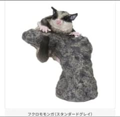 フクロモモンガのサムネイル