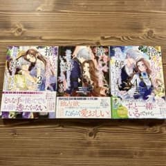 どうせ捨てられるのなら最後に好きにさせていただきます2〜4巻セットのサムネイル