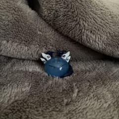 リムルテンペスト　転スラ　ヴェルドラのサムネイル