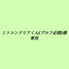 ミトコンドリアくん(プロフ必読) 様専用のサムネイル