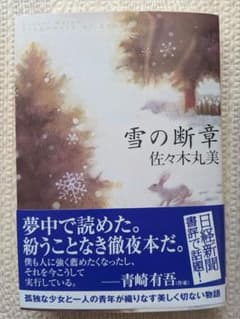 雪の断章 佐々木丸美のサムネイル