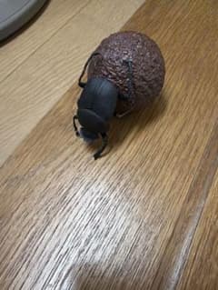 フンコロガシの模型のサムネイル