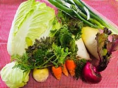 あかね様専用（野菜セット3/15発送）のサムネイル