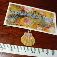 hiroko様専用 サンライズシェルのサムネイル