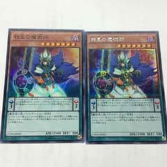 Largo様専用  相克の魔術師のサムネイル