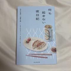 何も起きない夜日記 月と文社のサムネイル
