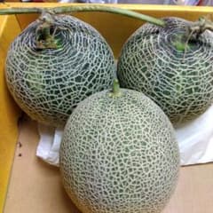 今もぎ山形県産 メロン 3玉入 マスクメロン1個とムーンライト2個糖度16以上のサムネイル
