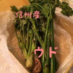 信州産 ウド 1キロのサムネイル