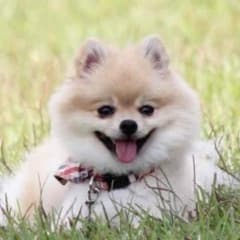 かおり様専用のサムネイル