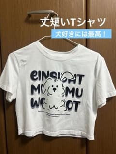 犬プリント 半袖Tシャツ ホワイト XP546のサムネイル