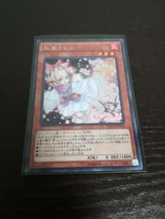 遊戯王 灰流うらら シークレット macrのサムネイル