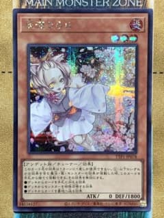 遊戯王 灰流うらら シク/シークレットレア 1枚 TTP1-JP078 - メルカリ