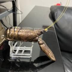 ぎじえもん　5のサムネイル