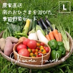 翌日配達エリア限定   農薬不使用 Lサイズ 野菜セット　野菜の詰め合わせのサムネイル