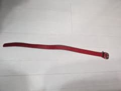 ポルテ ベルトのサムネイル
