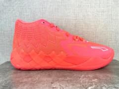 m71398820650_1.jpg?1704866584