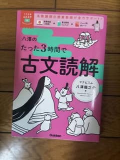 八澤のたった3時間で古文読解 大学受験ムビスタのサムネイル