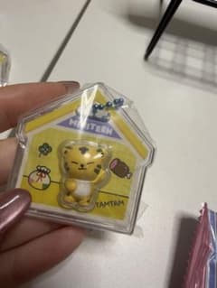 MINITEEN TAMTAM パッケージチャーム&グミのサムネイル