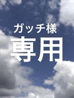 長崎カステラ切り落とし40個 小城羊羹 (こしあん 白あん) ガッチ 長崎カステラ切り落とし40個 小城羊羹 (こしあん 白あん) ガッチ様専用