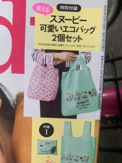 steady付録　エコバックのサムネイル
