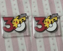 ピカチュウ マグネット 30周年 中国限定 ポケモン 2点 - メルカリ