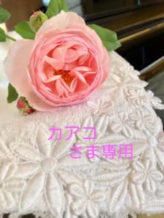 カアコ　さま専用ですのサムネイル