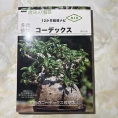NHK趣味の園芸 12か月栽培ナビ 多肉植物 コーデックスのサムネイル